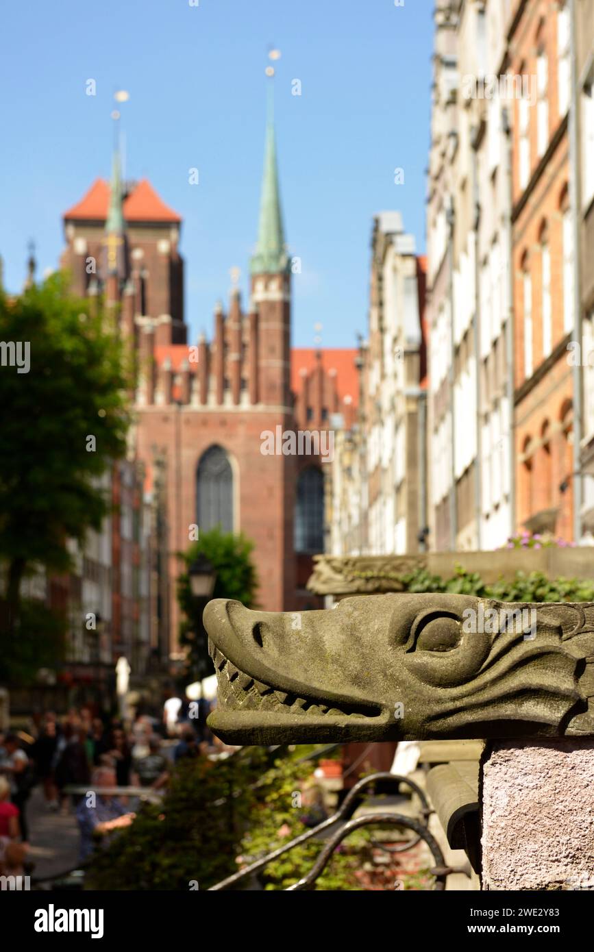 Danzica Polonia decorazione in pietra scolpita stilizzata testa di drago gargoyle in via Mariacka con vista sulla Chiesa di Santa Maria a Danzica, Polonia, Europa, UE Foto Stock