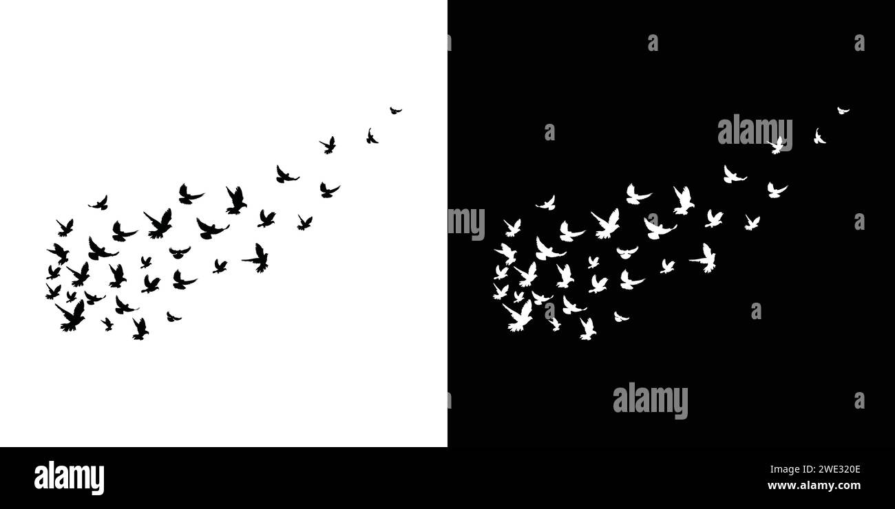 Immagine di un elemento di disegno vettoriale su sfondo bianco. Illustrazione Vettoriale