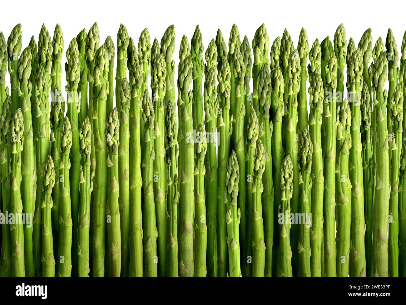 Sfondo di asparagi come verdure verdi coltivate o selvatiche che rappresentano una raccolta sana e fresca di verdure perenni raccolto per la cottura dei contorni e. Foto Stock