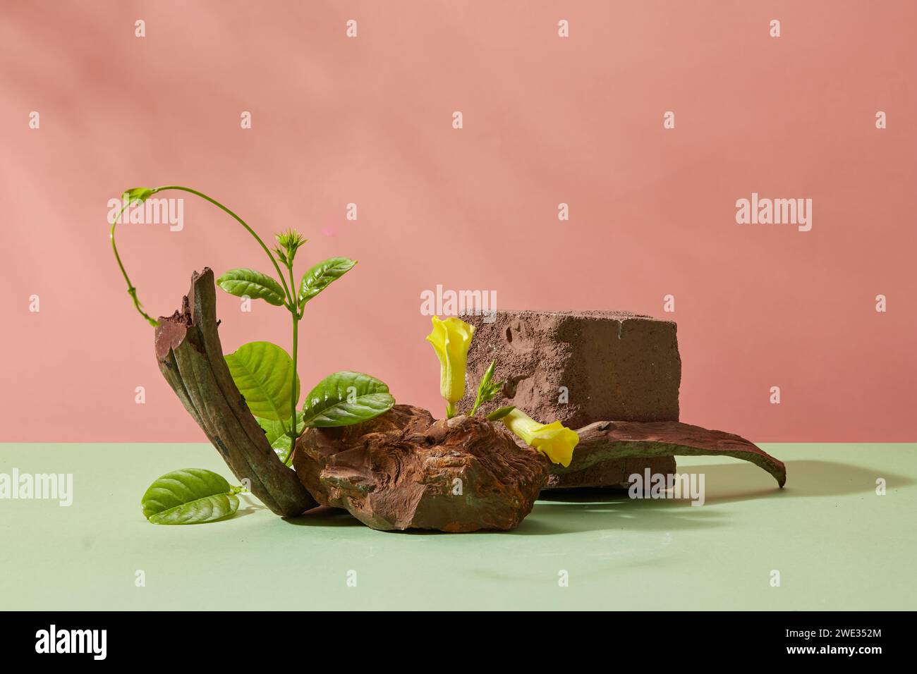 Scena minimalista astratta per la pubblicità con blocchi di pietra scuri, ramoscello secco, foglie verdi e fiori gialli decorati su sfondo rosa. Spazio vuoto t Foto Stock