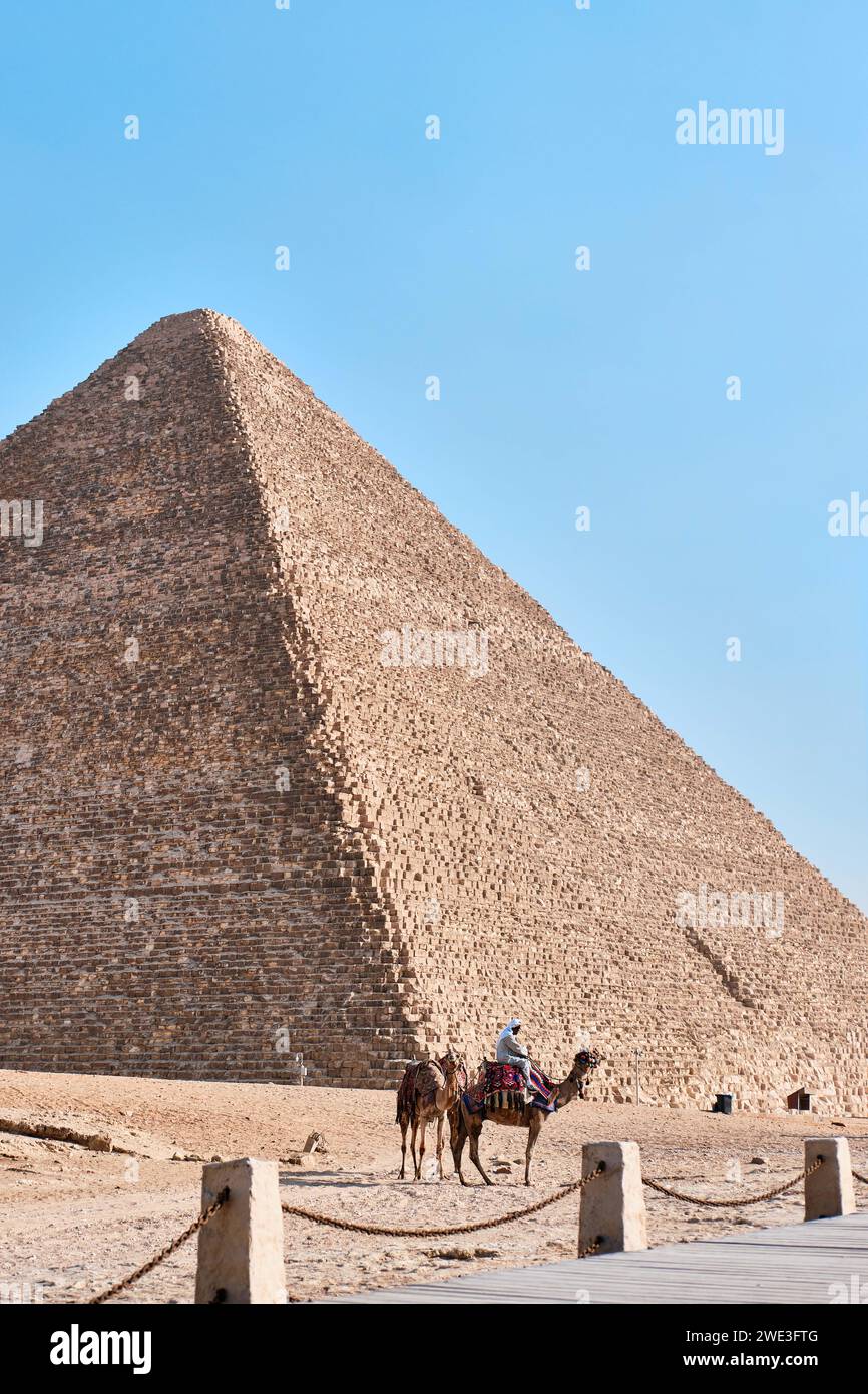 Giza, Egitto - 24 dicembre 2023: La grande piramide di Cheope è la più antica e grande delle tre piramidi e cammelli di Giza Foto Stock