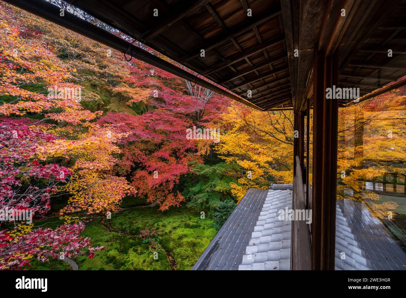 Stagione autunnale a Kyoto, in Giappone, i vivaci colori autunnali circondano il tempio buddista Ruriko-in nell'ex capitale giapponese. Foto Stock