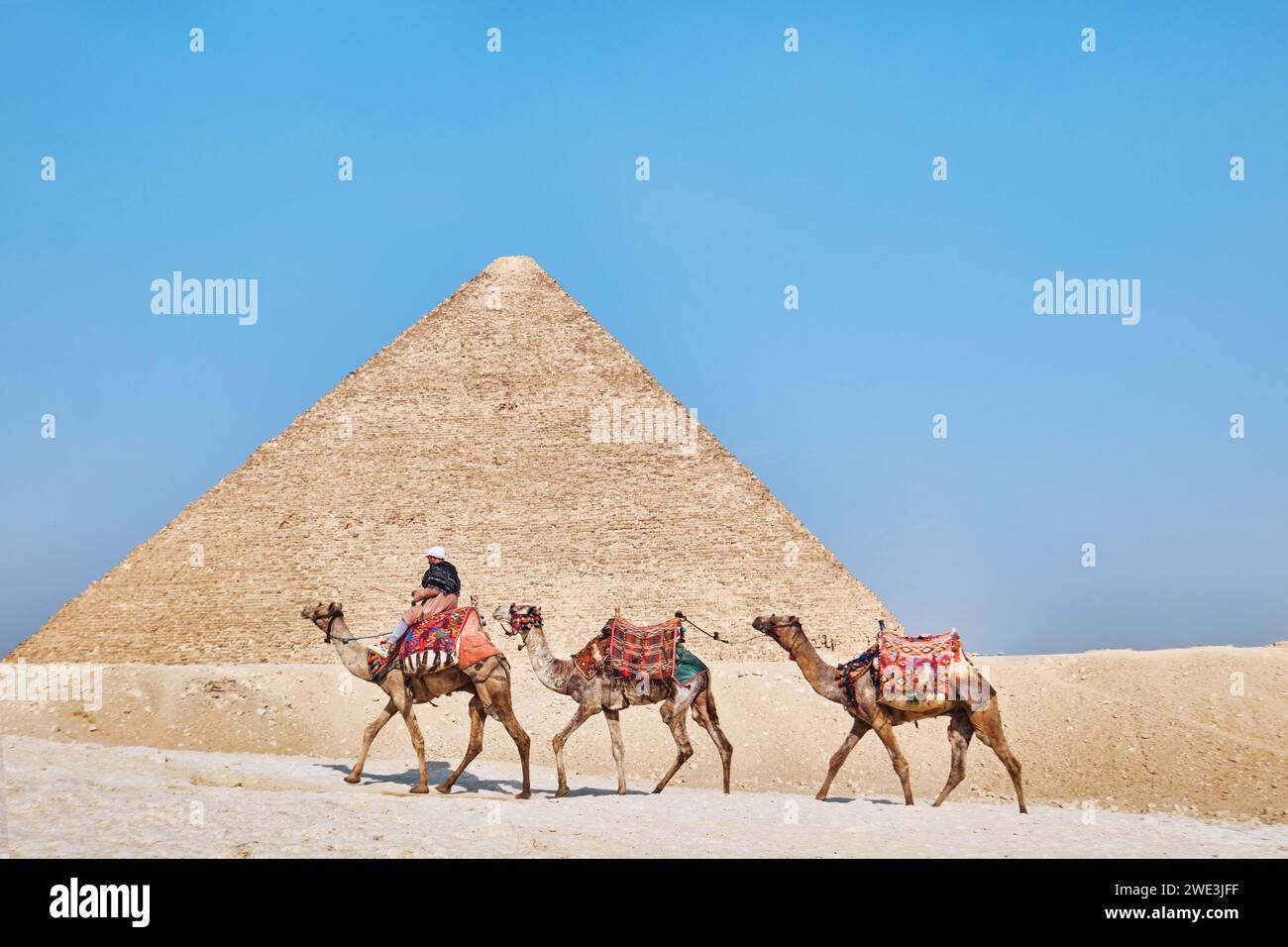 Giza, Egitto - 24 dicembre 2023: La grande piramide di Cheope (Khufu) è la più antica e grande delle tre piramidi di Giza con cammelli Foto Stock