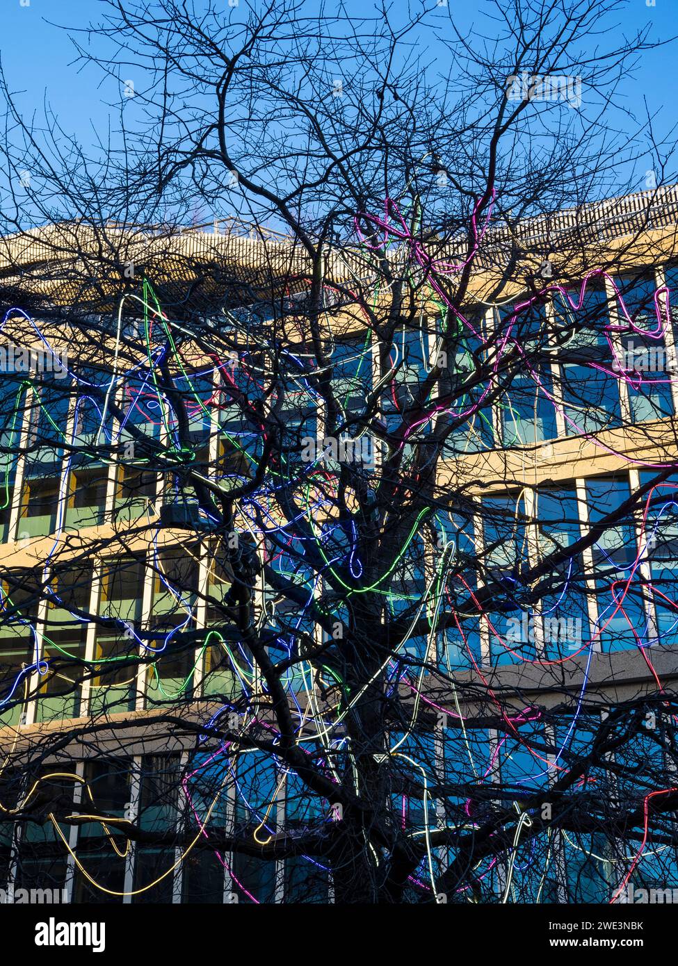 Tree with Neon Lighting, St pancreas Square, parte della Kings Cross Redevelopment, Kings Cross, Londra, Inghilterra, Regno Unito, GB. Foto Stock
