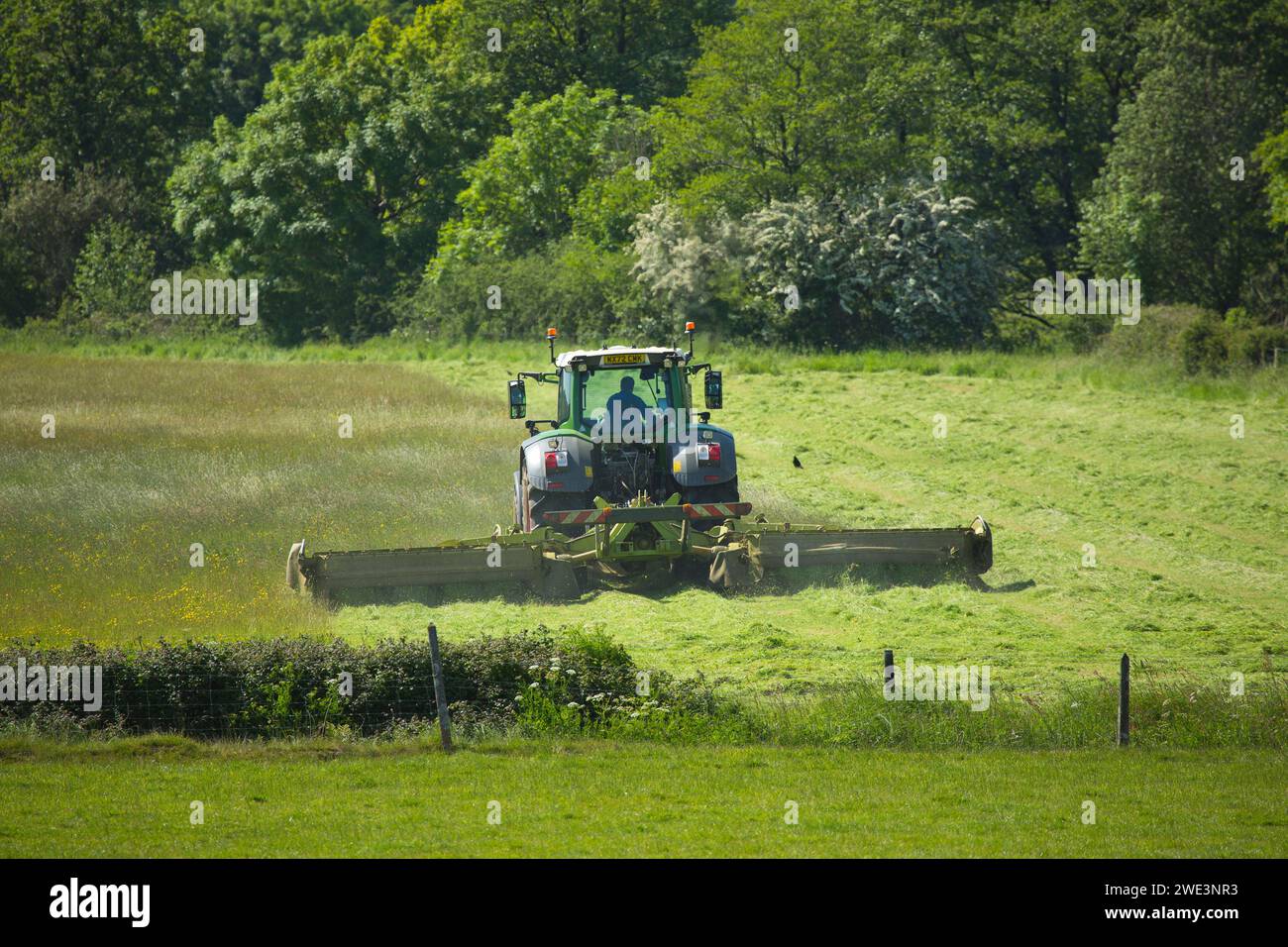 Un trattore e un rasaerba che tagliano fieno o insilato a Devon, Regno Unito Foto Stock