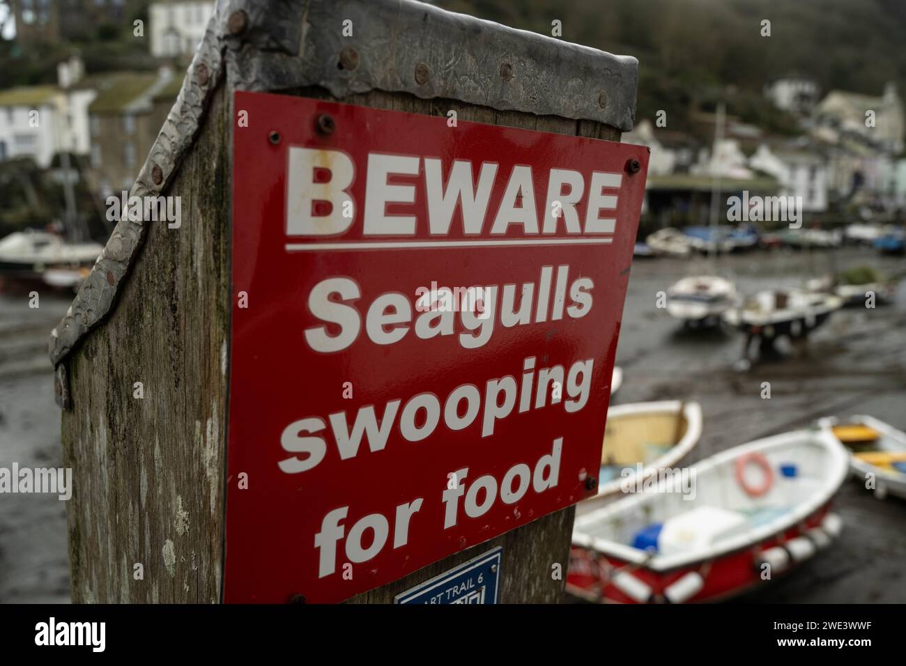 Segnale di avvertimento gabbiano. Looe, Cornovaglia, Regno Unito Foto Stock