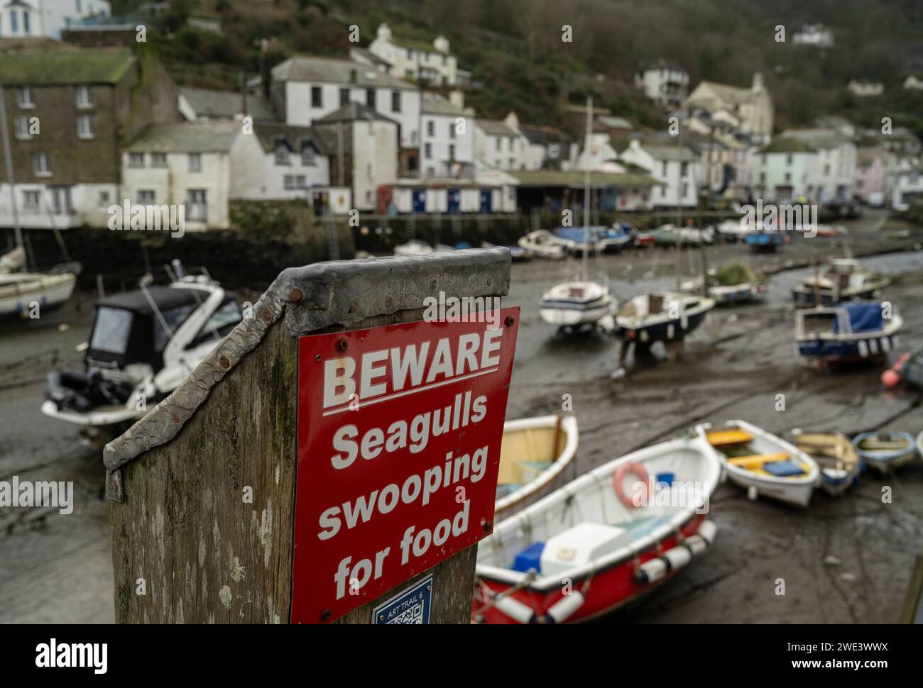 Segnale di avvertimento gabbiano. Looe, Cornovaglia, Regno Unito Foto Stock