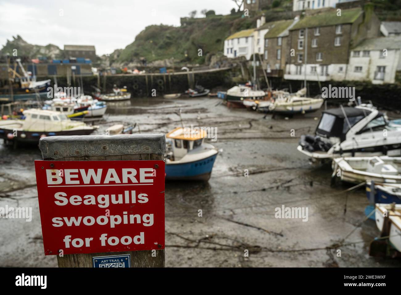 Segnale di avvertimento gabbiano. Looe, Cornovaglia, Regno Unito Foto Stock