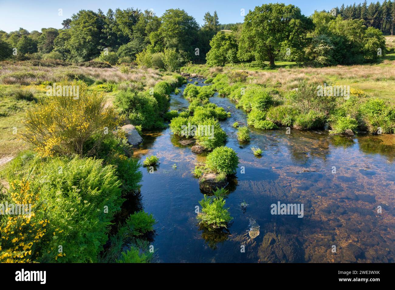 Il fiume West Dart a Two Bridges, Dartmoor, Devon, Regno Unito. Foto Stock