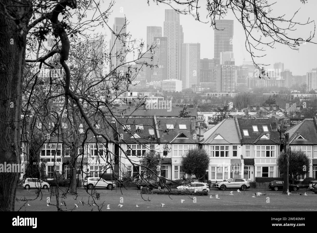 Proprietà residenziali suburbane e distanti grattacieli di Nine Elms, viste da Ruskin Park, uno spazio verde pubblico a sud di Londra a Lambeth, il 23 gennaio 2024, a Londra, Inghilterra Foto Stock