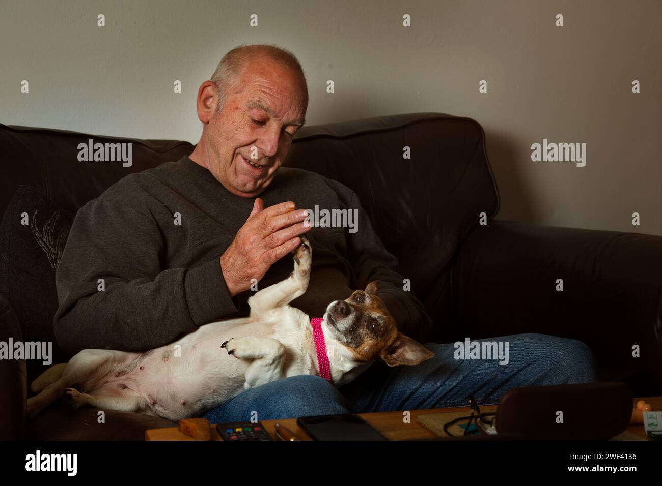 Un vecchio che gioca con il suo cane da compagnia Foto Stock