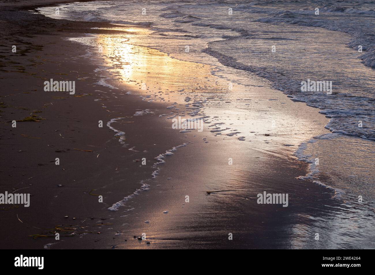 Sfondo marino. Paesaggio marino alla luce della sera. Sfondo. Design della copertura. Foto Stock