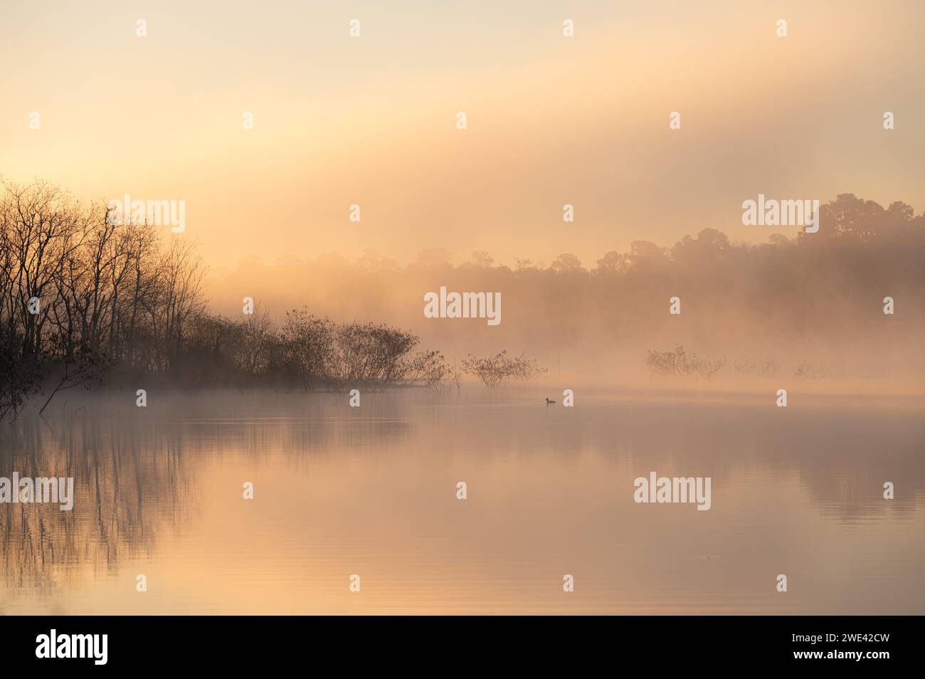 Guardando il sole mentre si avvicina all'orizzonte, la sua luce diffonde un bagliore arancione su un paesaggio del Texas orientale. Foto Stock