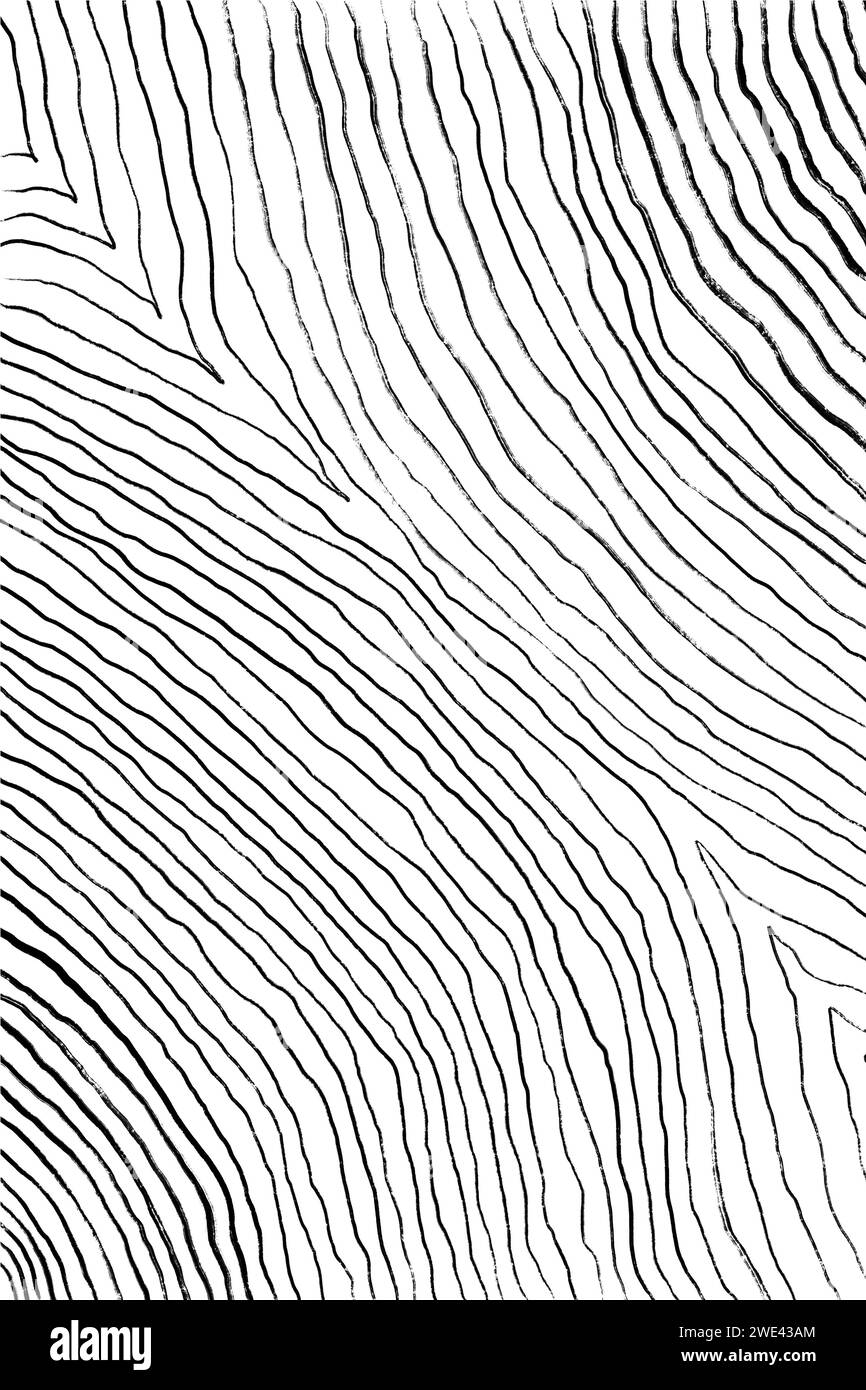 Lineare Texture Arte Astratta Lineare Astratta La Faccia Femmina In Una Cornice In Uno