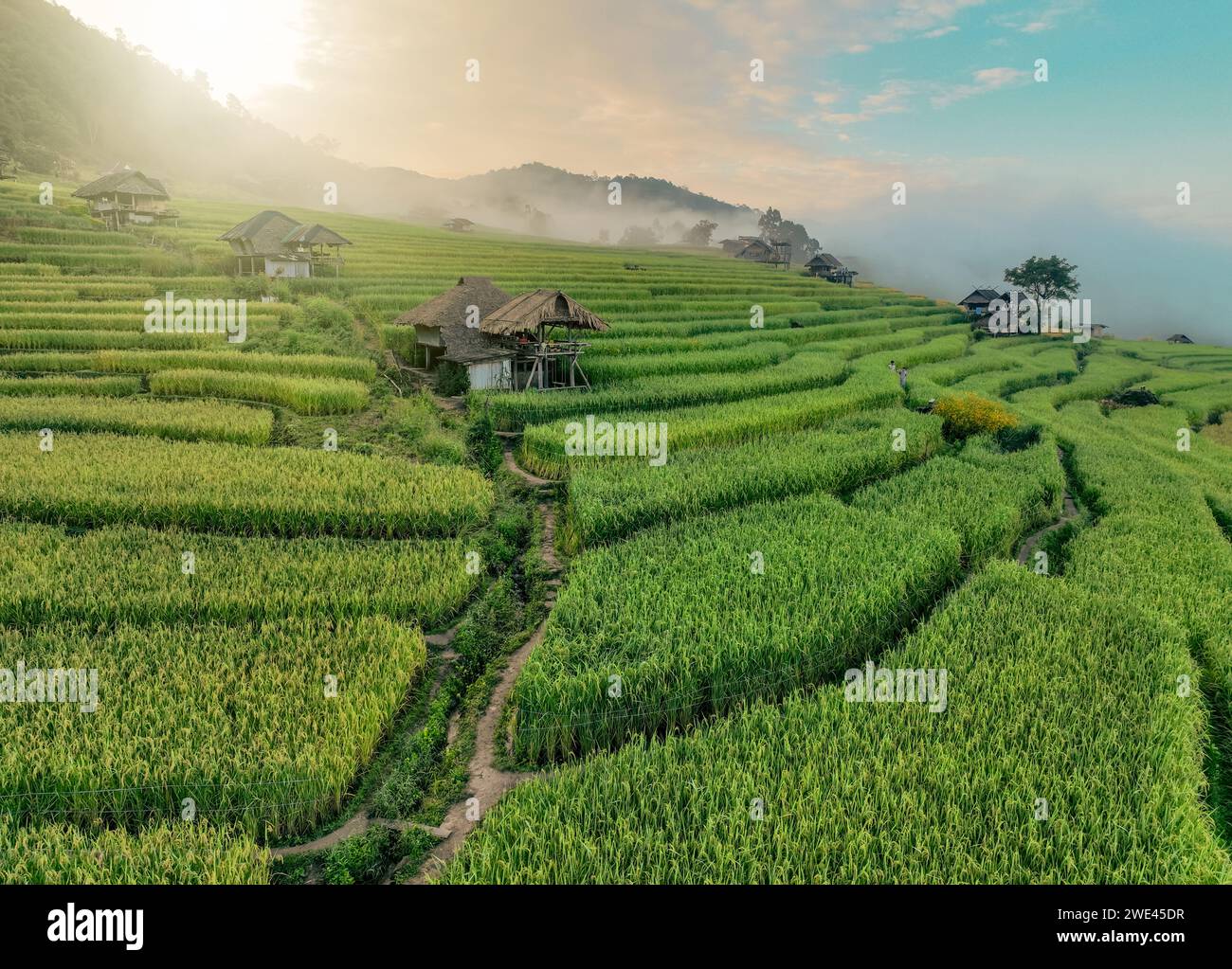 Paesaggio di risaie e capanna con sfondo di catena montuosa e bel cielo all'alba. Paesaggio naturale. Allevamento di riso verde. Campi di riso terrazzati. Foto Stock