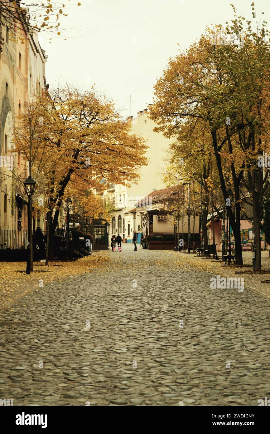 Belgrado, Serbia - 2 dicembre 2023: Una foto diurna del quartiere di Skadarlija a Belgrado, Serbia, con foglie gialle sparse per terra, Foto Stock
