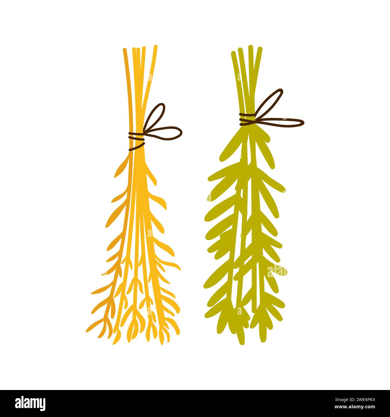 Erbe e piante magiche. Accessori per stregoneria, strumenti rituali occulti illustrazioni vettoriali di cartoni animati Illustrazione Vettoriale