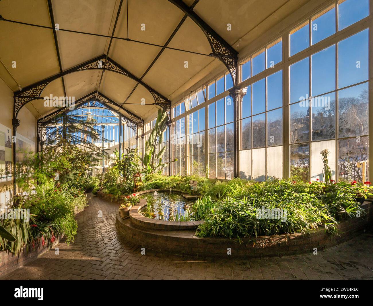 Laghetto all'interno del Conservatory of the Pavilion Gardens di Buxton. Derbyshire. REGNO UNITO Foto Stock