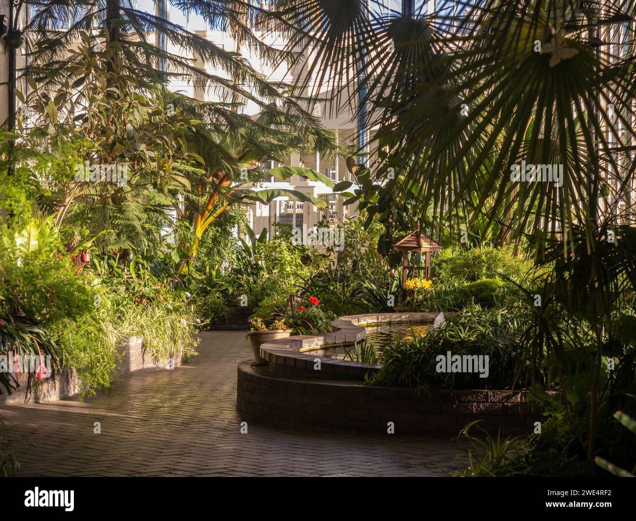L'interno del Conservatory al Pavilion Gardens di Buxton. Derbyshire. REGNO UNITO Foto Stock