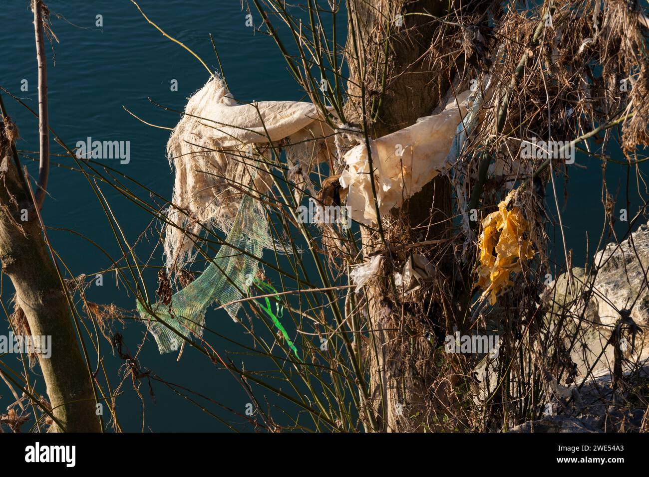 Italia, Lombardia, plastica catturata nei rami dell'albero Foto Stock