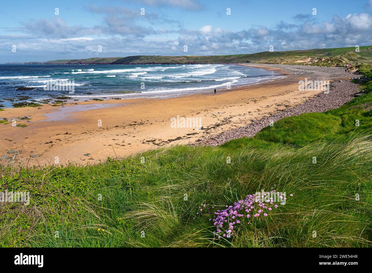 Regno Unito, Galles, Pembroke, Freshwater West Bay Foto Stock