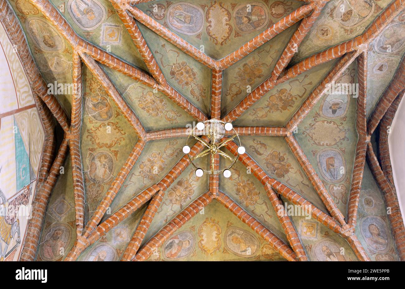 Volta a stella della cattedrale (Bazylika Katedralna) con medaglioni dipinti a Tarnów nel voivodato di Malopolskie in Polonia Foto Stock