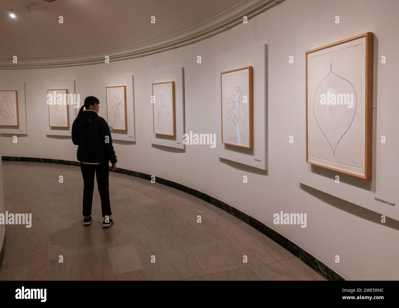 Museo di belle arti di Boston, Massachusetts Foto Stock