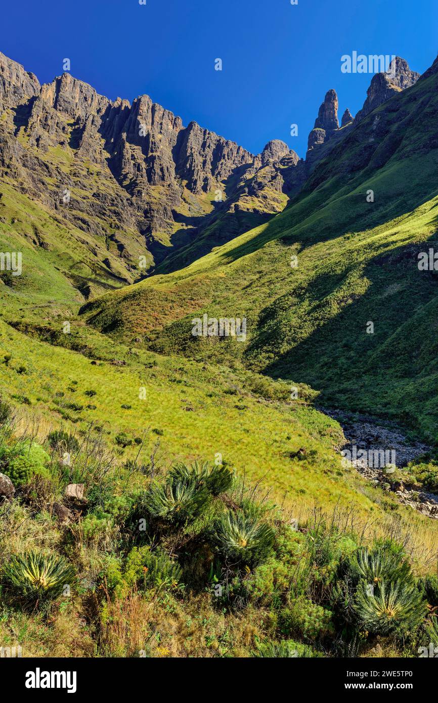 Tseketseke Valley con Cleft Peak, Column and the Pyramid, Didima, Cathedral Peak, Drakensberg, Kwa Zulu Natal, Maloti-Drak, sito patrimonio dell'umanità dell'UNESCO Foto Stock