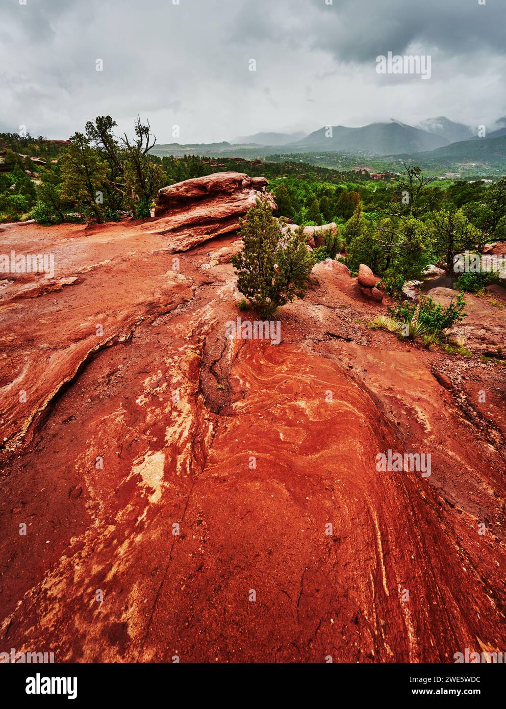 Garden of the Gods Park, Colorado Springs, Colorado Foto Stock