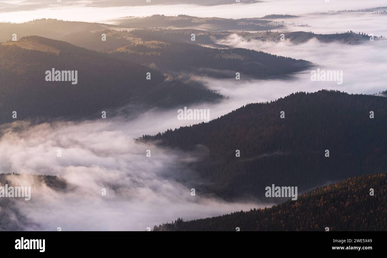 Magnifico paesaggio montano. Vista della valle coperta di nebbia mattutina tra le montagne boscose all'alba. Foto Stock