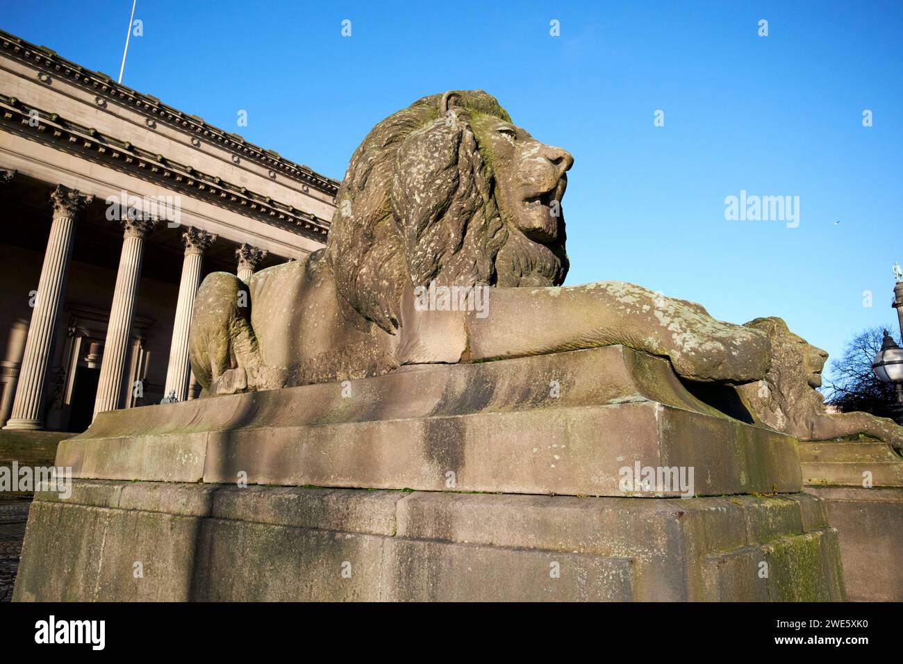 sculture di leoni di sir charles cockerell all'esterno della st georges hall liverpool, merseyside, inghilterra, regno unito Foto Stock
