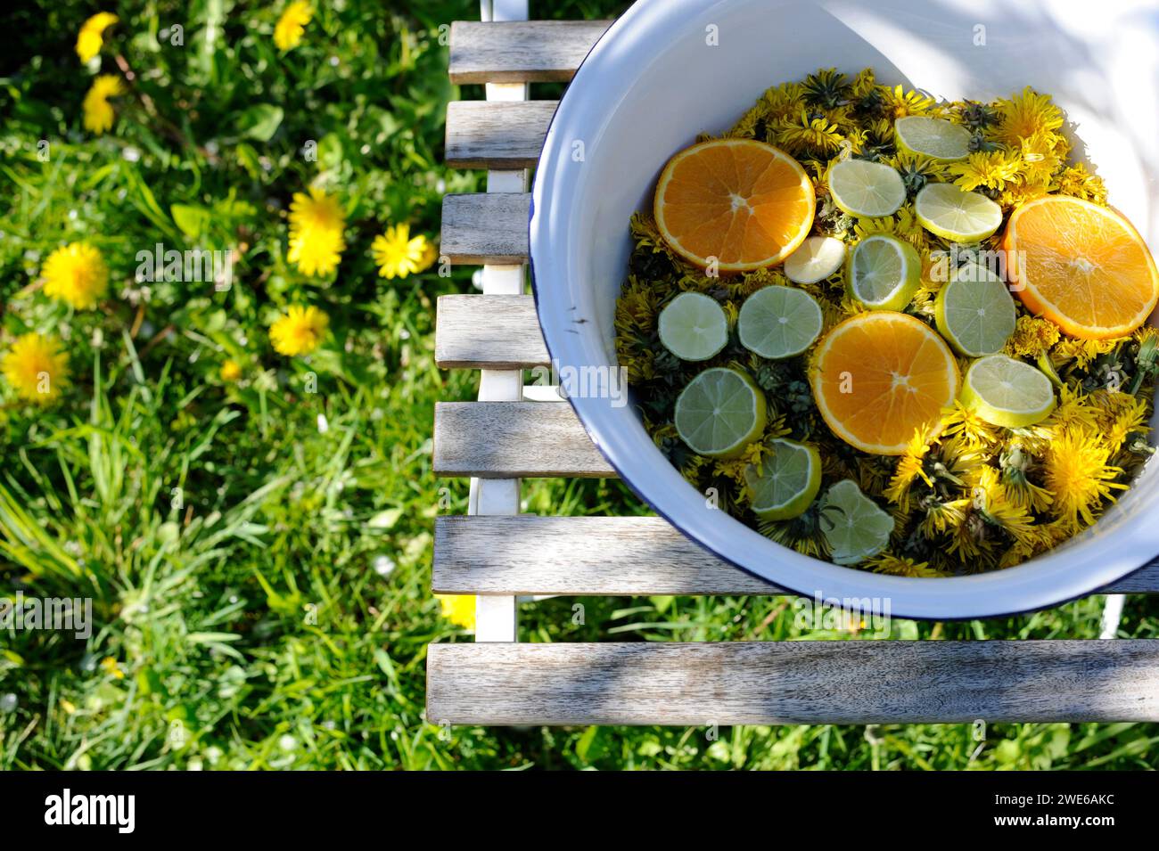 Teste di tarassolo e fette di agrumi in un recipiente smaltato Foto Stock