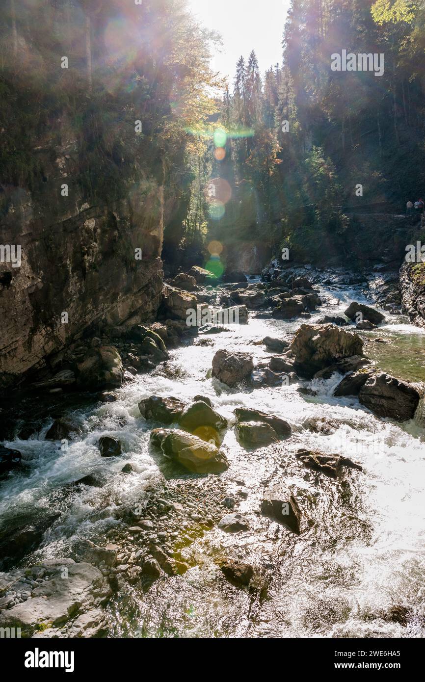 Germania, Baviera, fiume Breitach che scorre attraverso il canyon di Breitachklamm Foto Stock