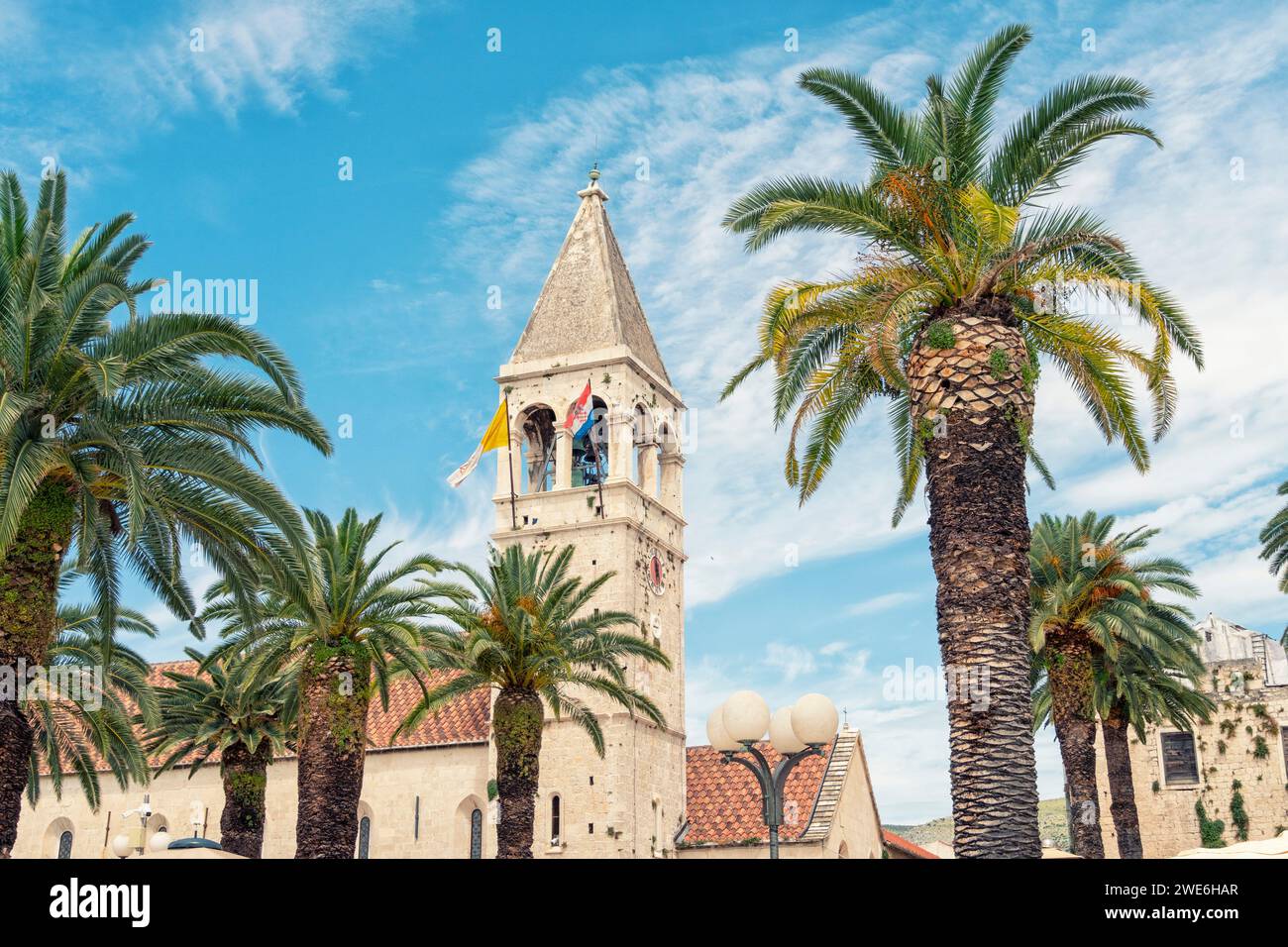 Croazia, Contea di Spalato-Dalmazia, Trogir, palme di fronte alla Chiesa e al Monastero di San Dominic Foto Stock