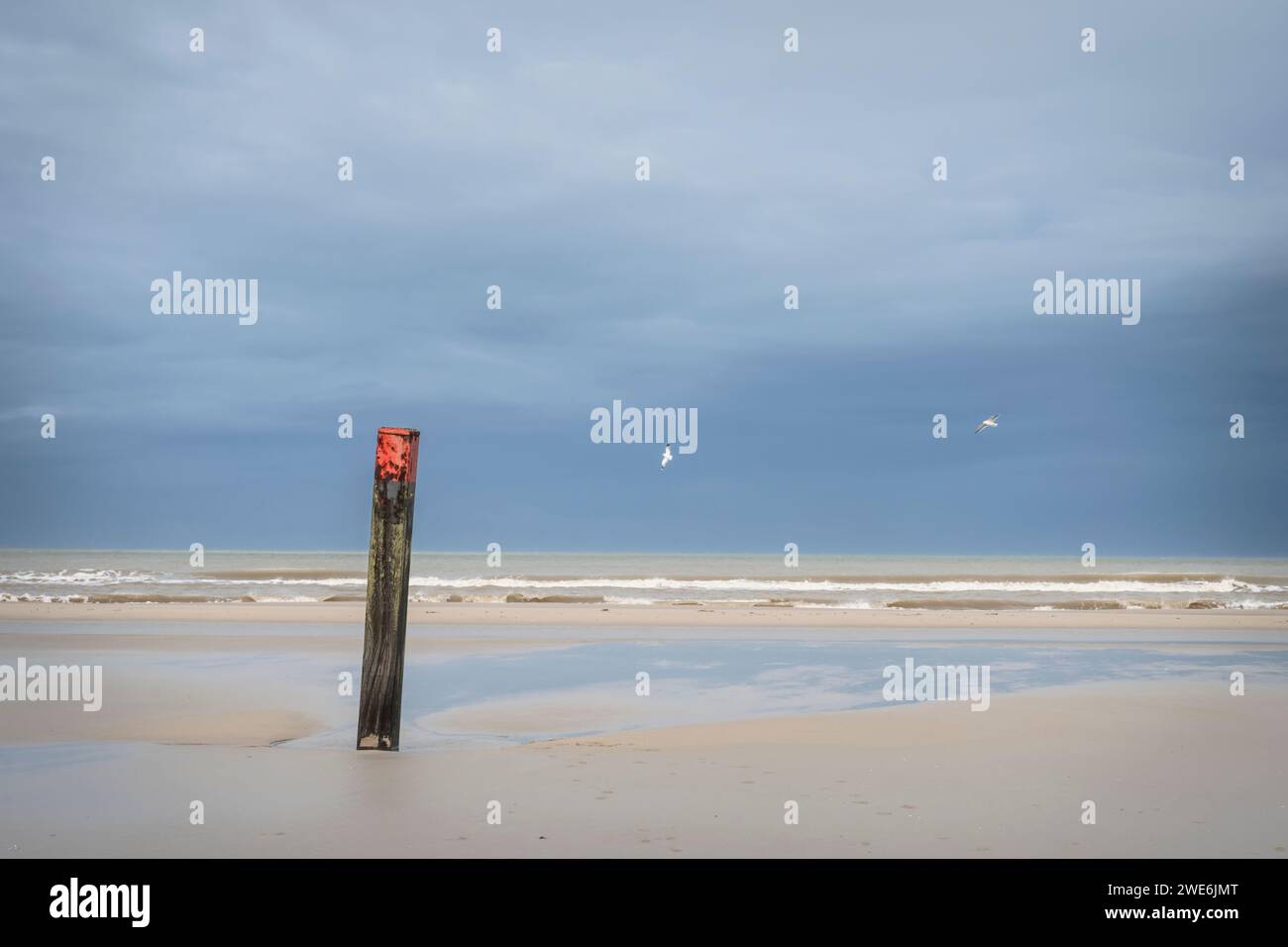Olanda, Friesland, Terschelling, marcatore di distanza su una spiaggia vuota Foto Stock