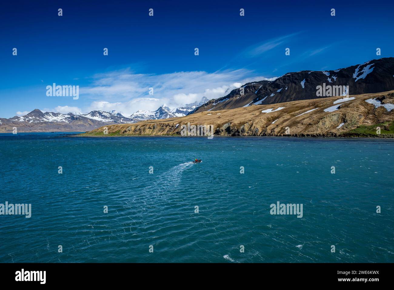 Zodiac che naviga nella zona portuale di Grytviken, Isola della Georgia del Sud, Foto Stock