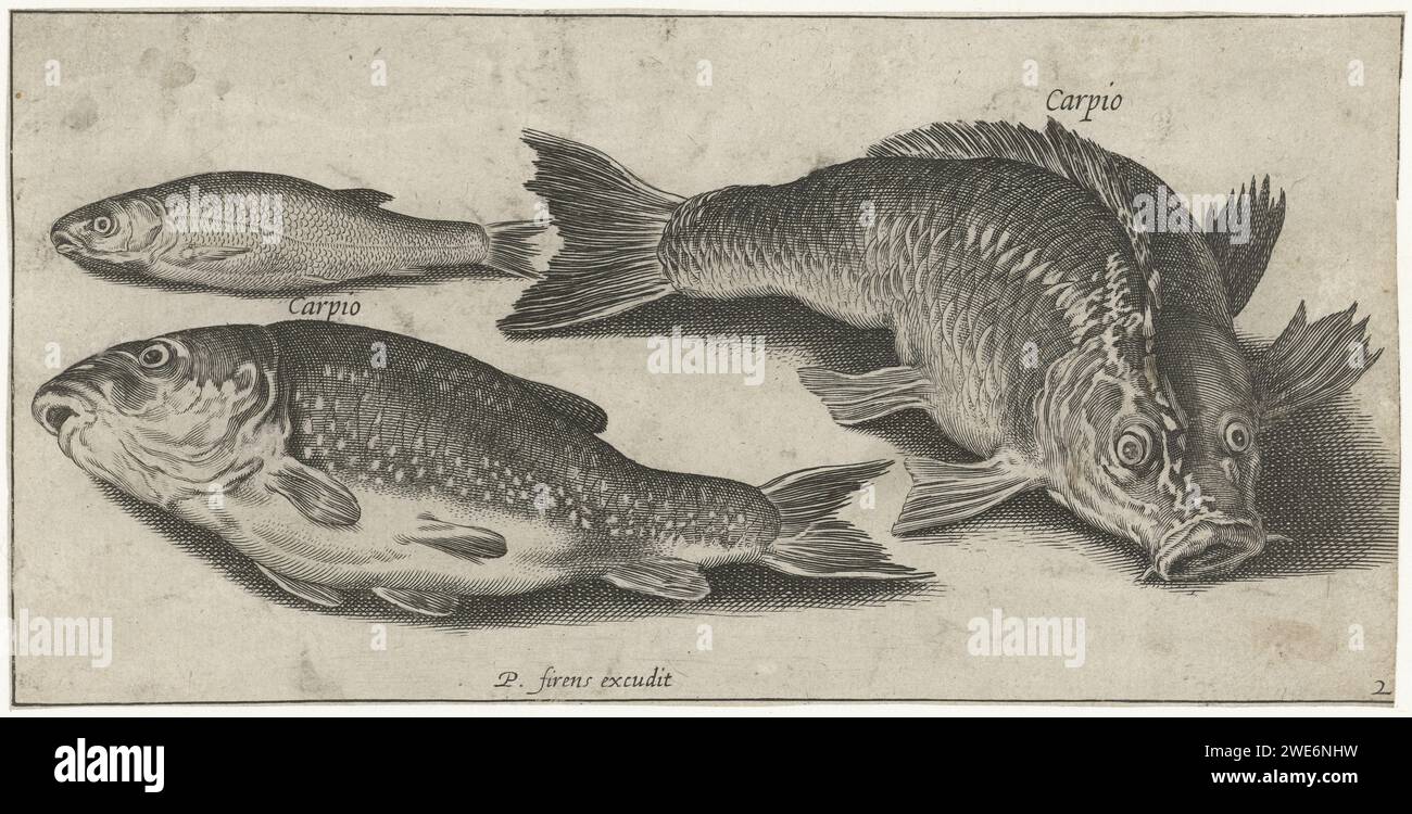 Three Carp, Pierre Firens, dopo Adriaen Collaert, 1600 - 1638 tipografia: Parisafter stampa di: Antwerppublisher: Paris paper Engraving Fishes Foto Stock