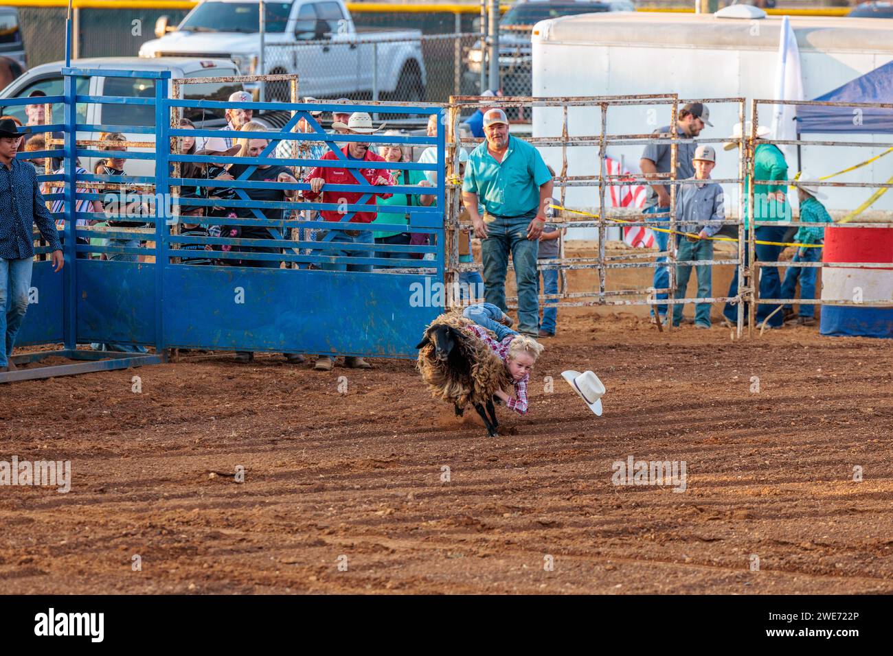 Giovane ragazzo che cavalca una pecora in un evento di busting di montoni durante il rodeo della fiera della contea di Hardin a Savannah, Tennessee Foto Stock