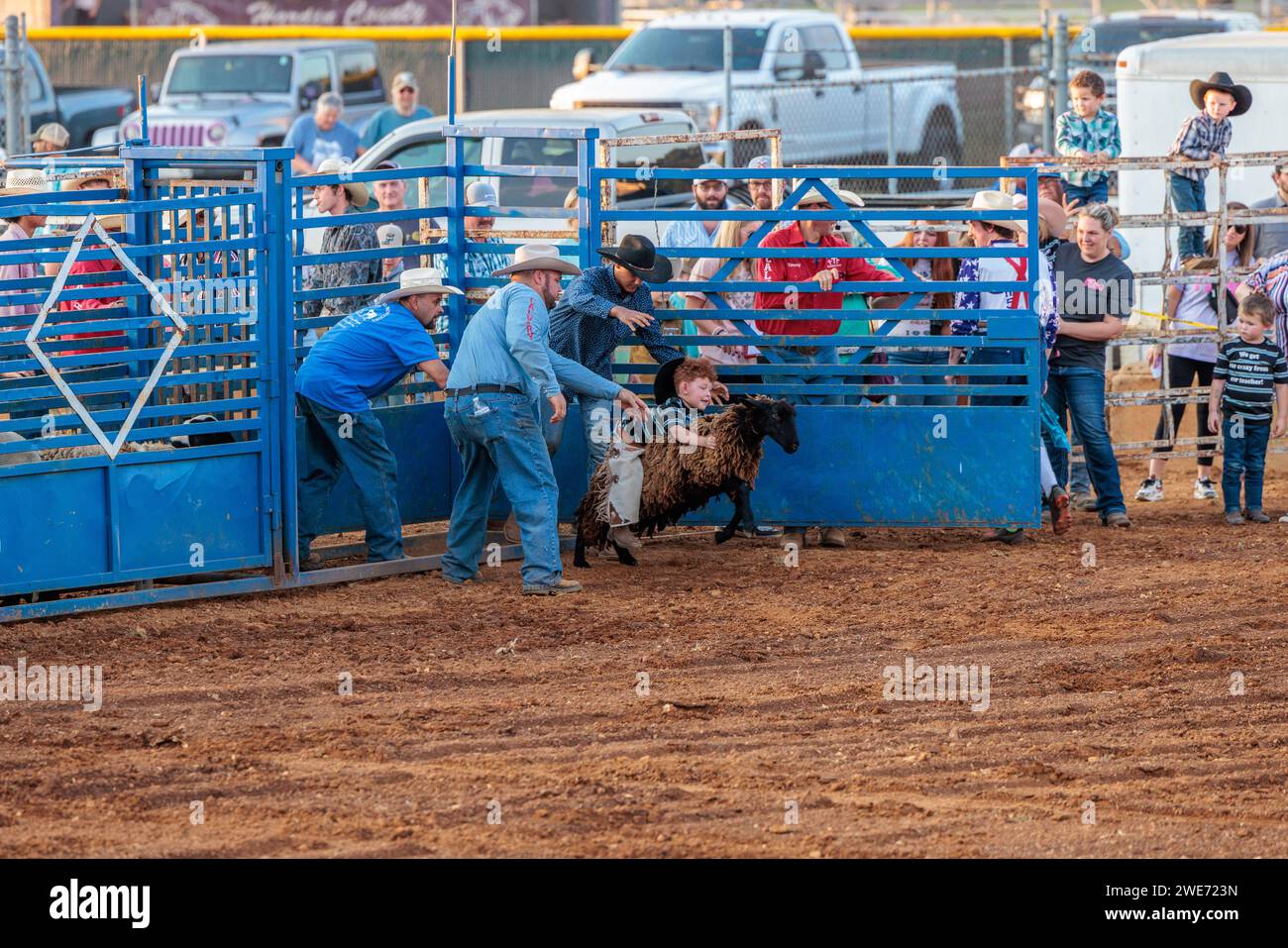 Giovane ragazzo che cavalca una pecora in un evento di busting di montoni durante il rodeo della fiera della contea di Hardin a Savannah, Tennessee Foto Stock