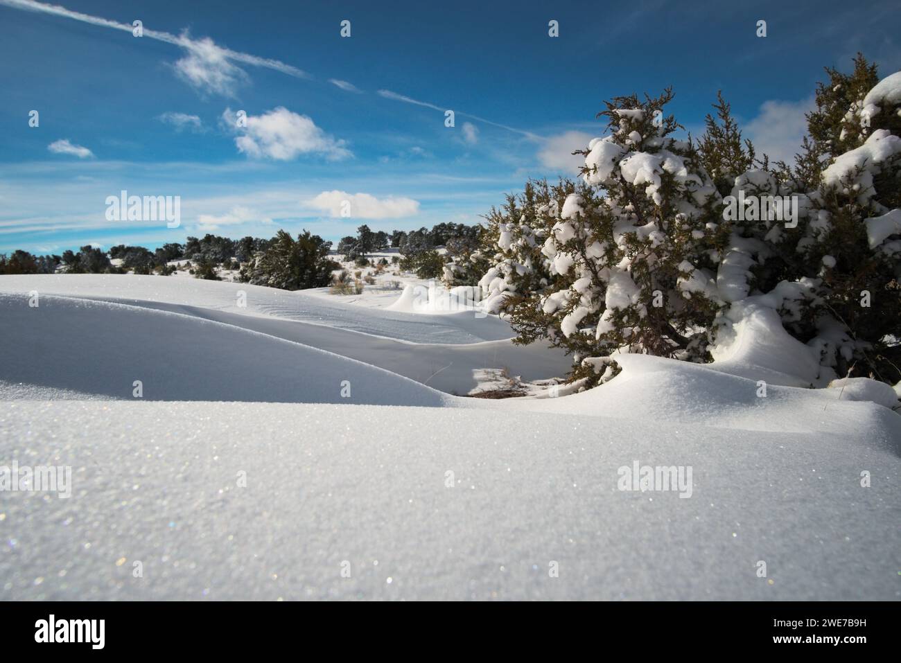 Le escursioni a bordo di neve intagliate dal vento formano un incredibile paesaggio invernale Foto Stock