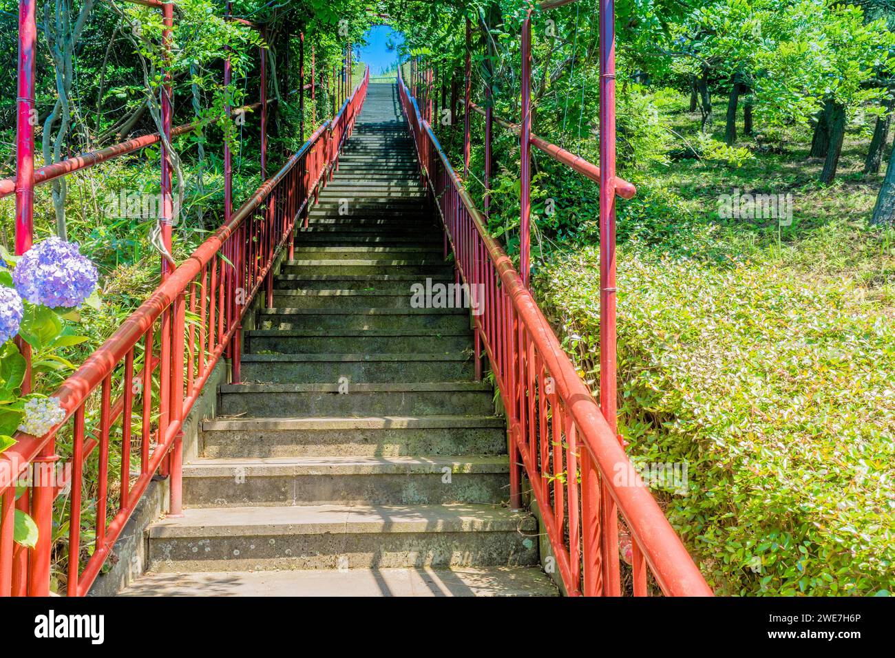 Scale in cemento con ringhiere in ferro che attraversano sentieri ricoperti di vegetazione lussureggiante Foto Stock