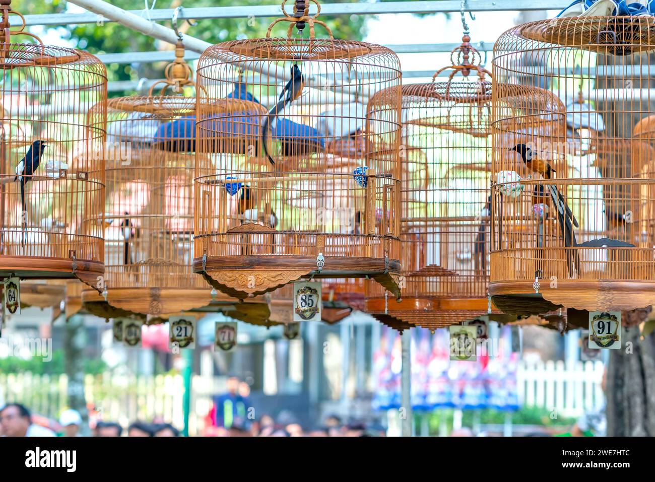 Le gabbie di Warbler al concorso di canto attirano molti uccelli da tutto il mondo per riunirsi nel parco durante il capodanno lunare. Foto Stock