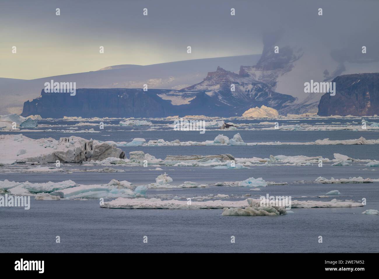 Isola James Ross sulla Penisola Antartica Foto Stock