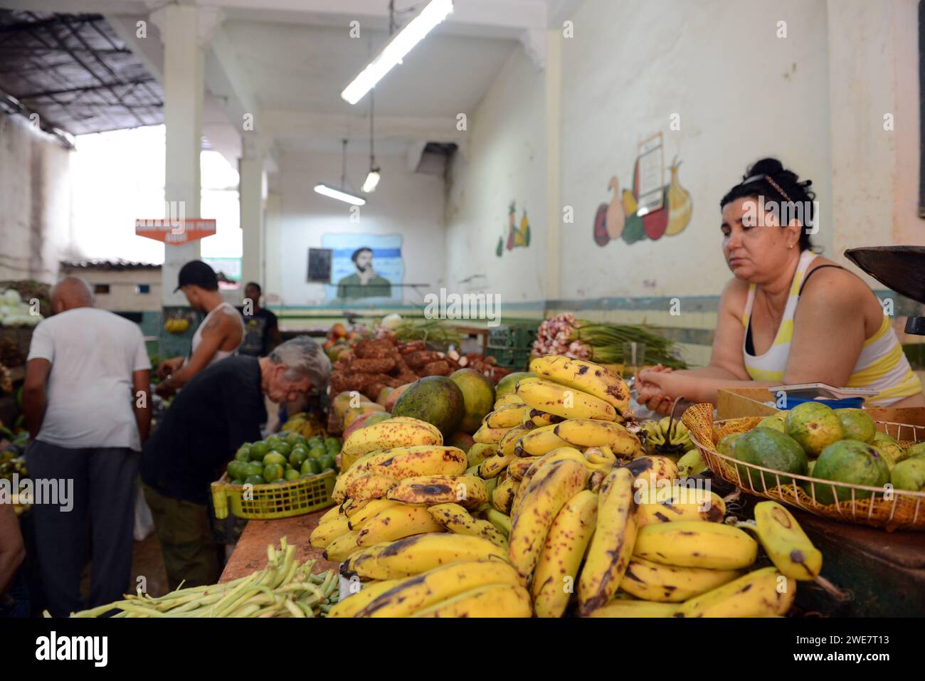 Un negozio di frutta e verdura a l'Avana Vecchia, Cuba. Foto Stock
