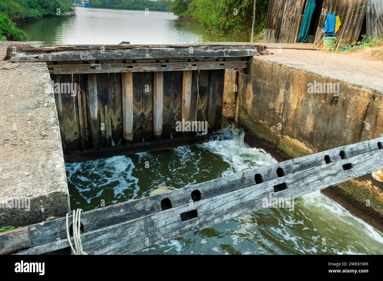 Una vecchia diga di legno attraverso la stretta sezione del fiume a Goa, in India. Foto Stock