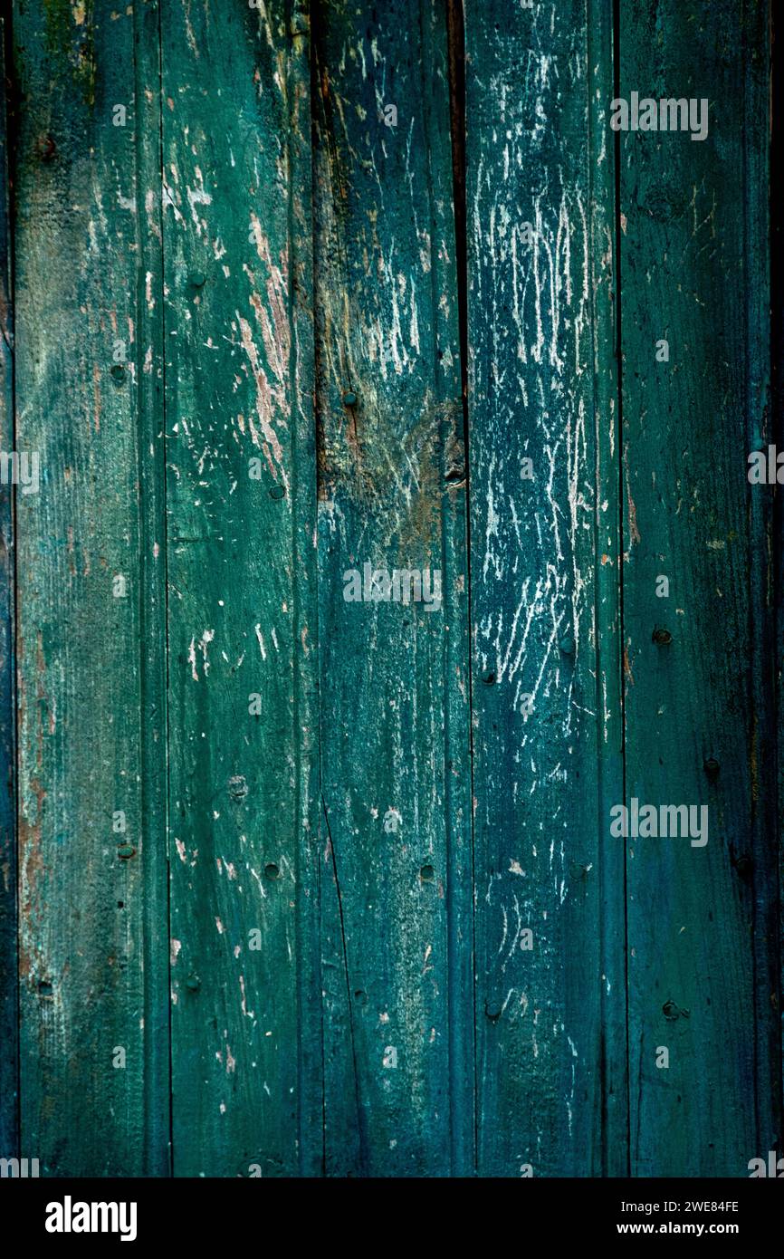 Una superficie ruvida in legno verde brillante con accenni di ruggine Foto Stock