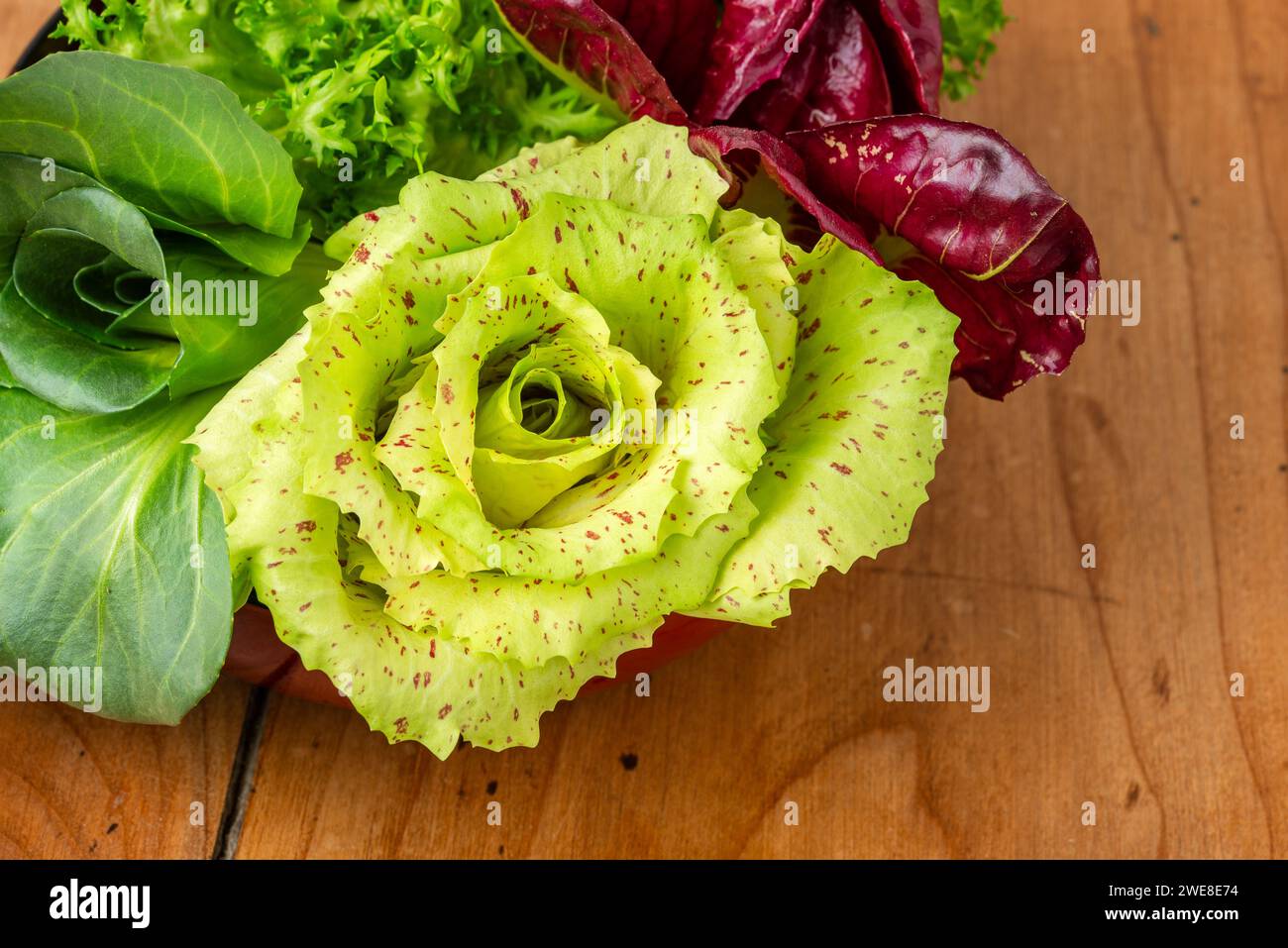 Quattro insalate in tazza su un antico tavolo in legno: Cicoria grumolo verde, radicchio di Chioggia, radicchio di Castelfranco e insalata riccia. Foto Stock