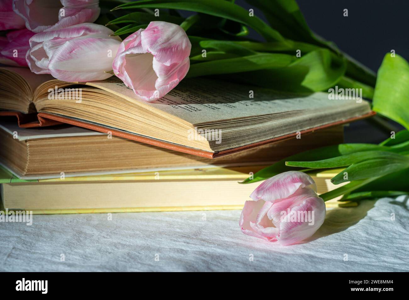 Bouquet di tulipani rosa e una pila di tre libri su un foglio bianco. Foto Stock
