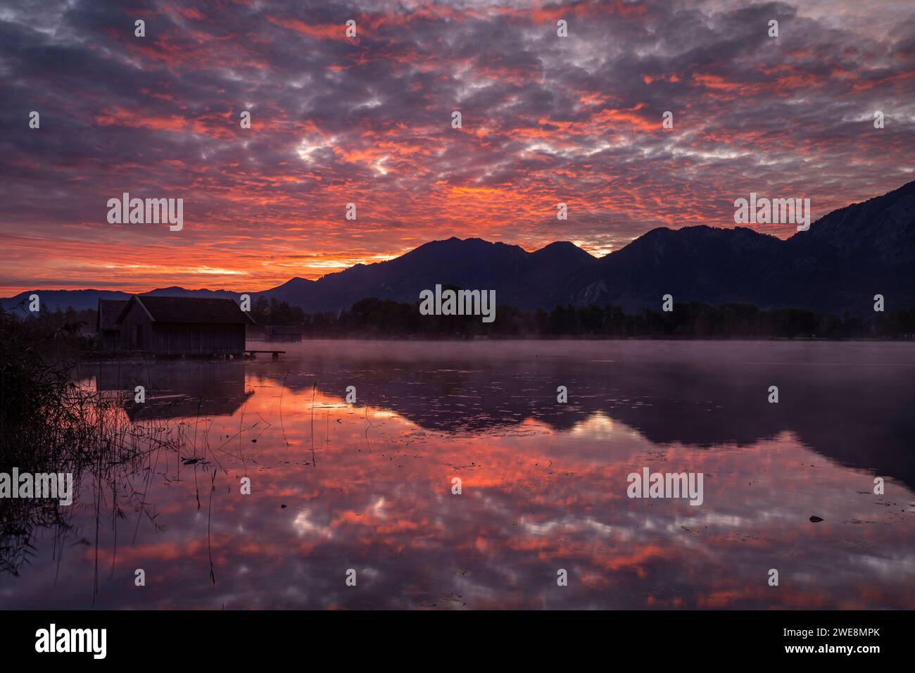 Rossore mattutino sul lago con le montagne, riflesso, lago Kochelsee, alta Baviera, Baviera, Germania, Europa Foto Stock