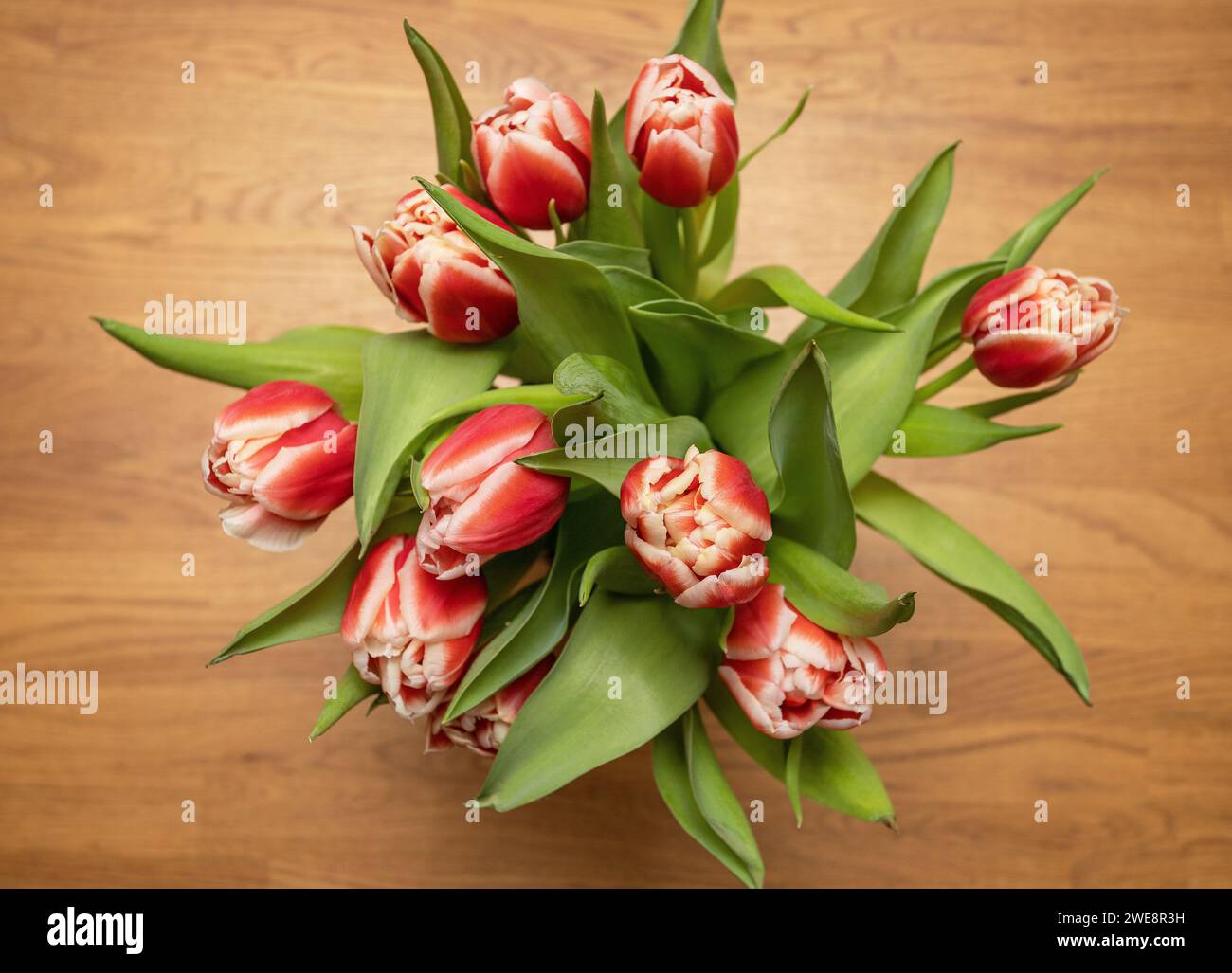 tulipani in vaso fotografati dall'alto. Decorazioni interne casalinghe su un tavolo in legno rustico. Foto: Bo Arrhed Foto Stock